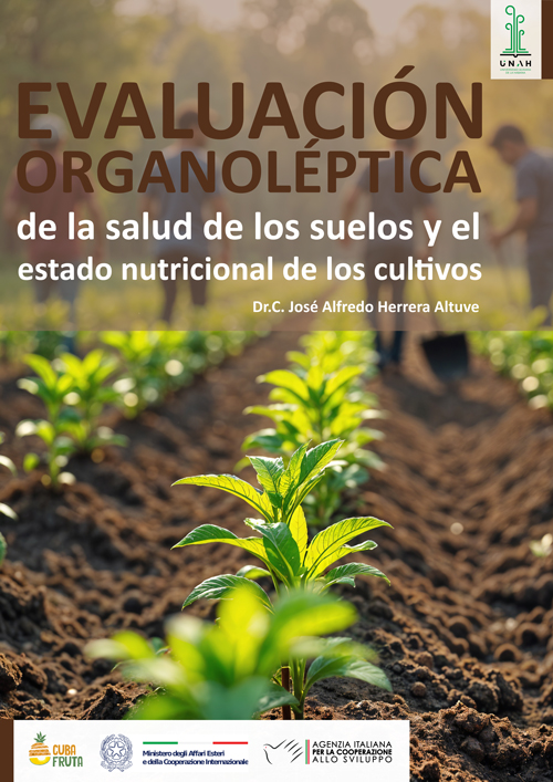 Empresa Tecnológica